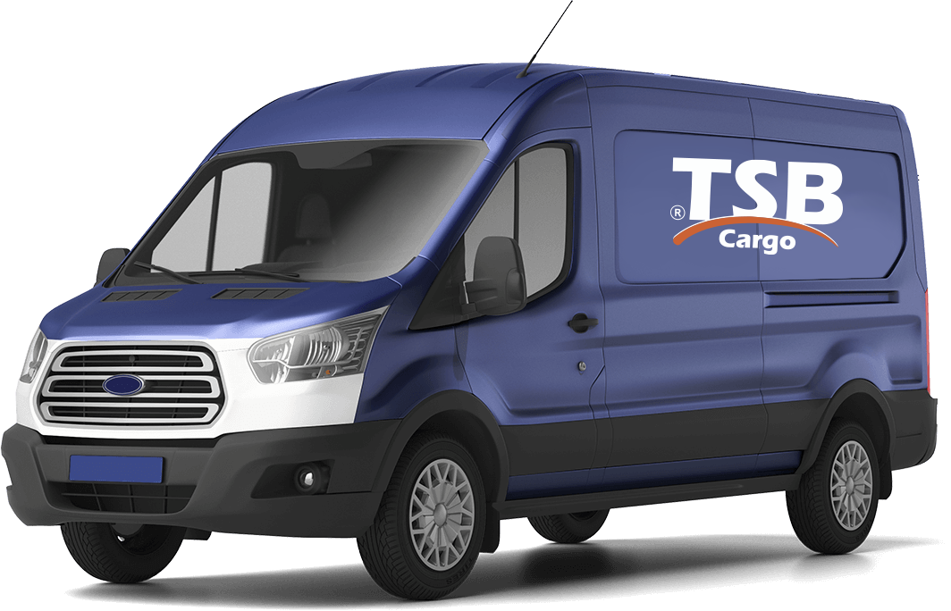 Tsb Container Loadicator Servicios - TSB Cargo